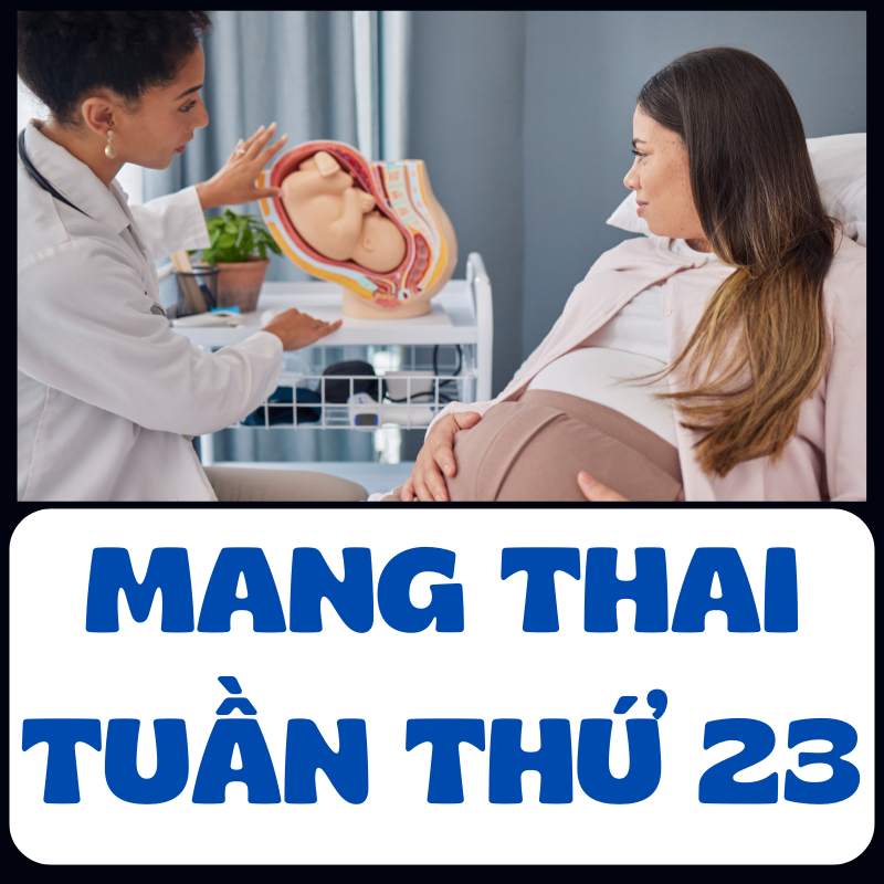 những triệu chứng khi mang thai tuần thứ 23